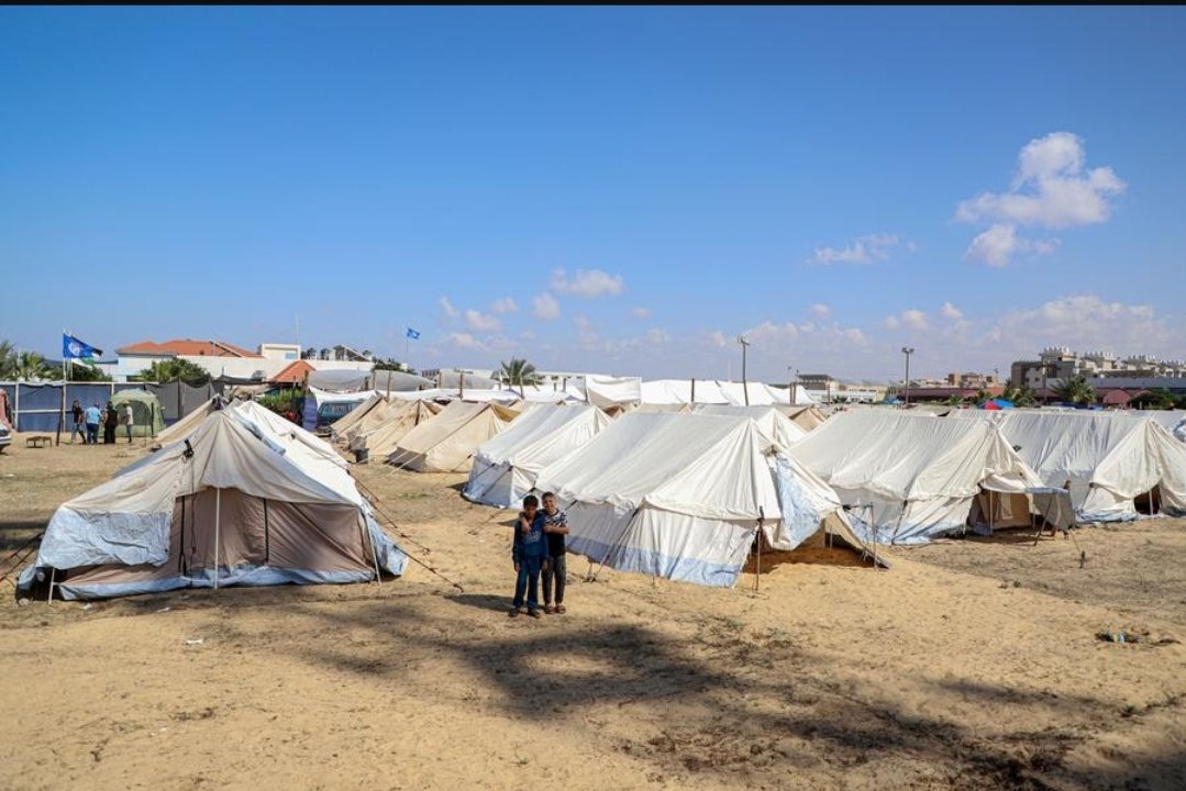 Help amera family in gaza