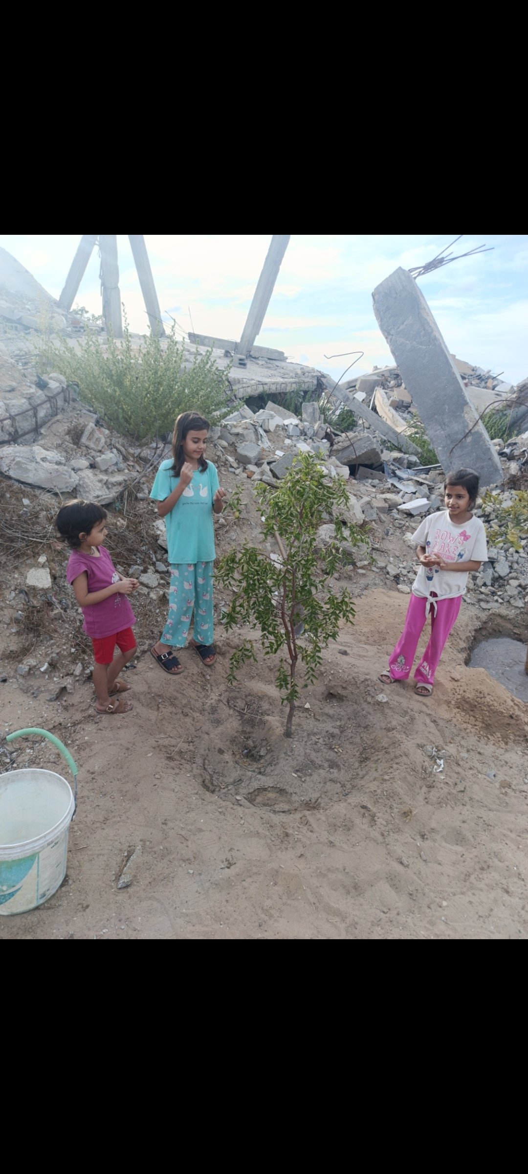 Help Fatima’s family from Gaza cover their household expenses.